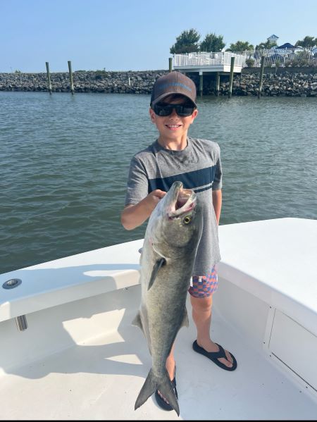 Colt with a blue fish he caught fishing with his father, Jon.