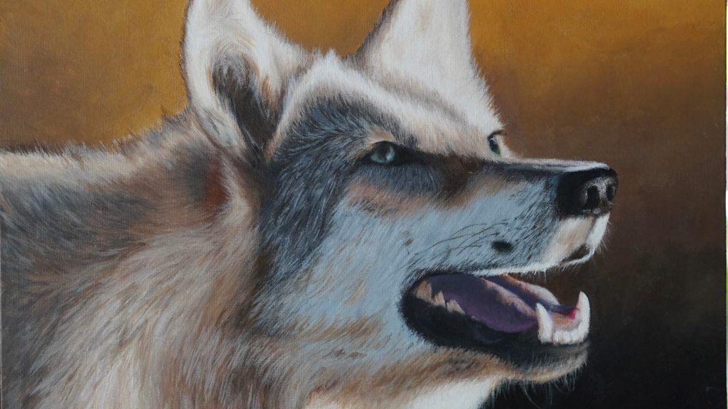 NRA Now Accepting Submissions for the George Montgomery/NRA Youth Wildlife Art Contest