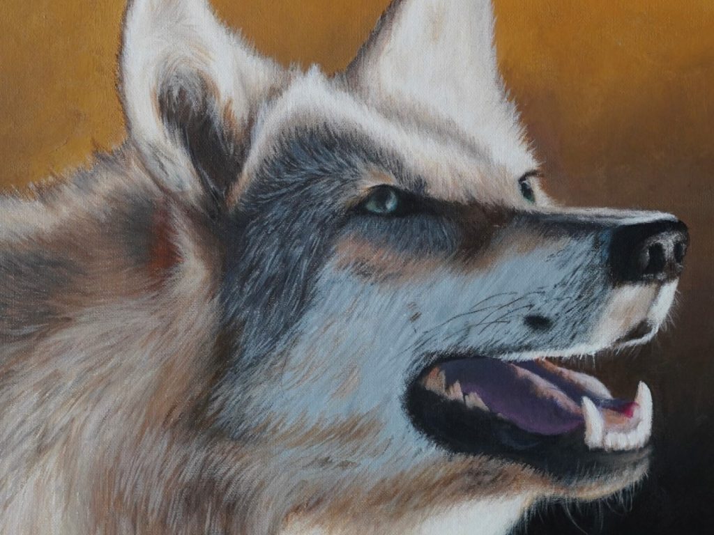 NRA Now Accepting Submissions for the George Montgomery/NRA Youth Wildlife Art Contest